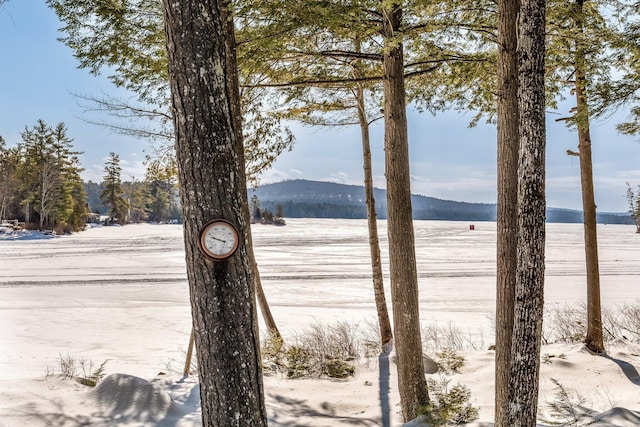 property view of water with a mountain view