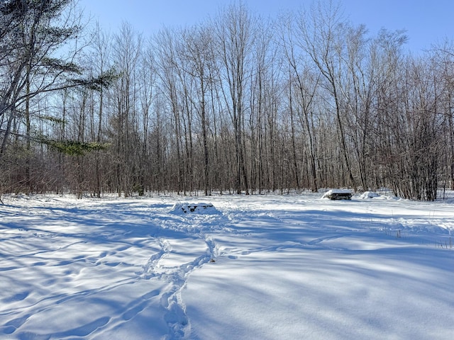 view of yard layered in snow