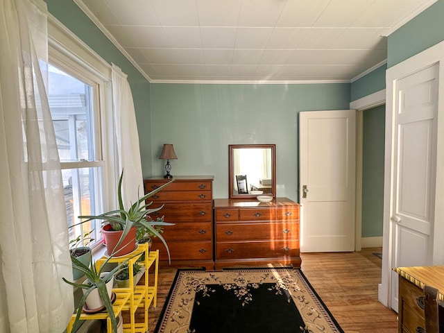 interior space with crown molding, a wealth of natural light, and light hardwood / wood-style floors