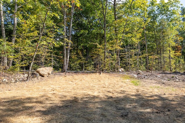 view of landscape featuring a wooded view