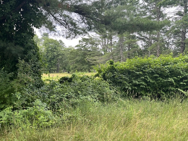 83 River Rd, Hiram, ME 04041 - view of nature