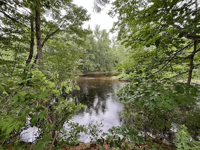 83 River Rd, Hiram, ME 04041 - water view featuring a heavily wooded area
