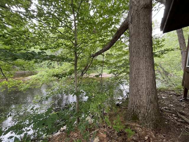 83 River Rd, Hiram, ME 04041 - view of local wilderness featuring a nearby body of water