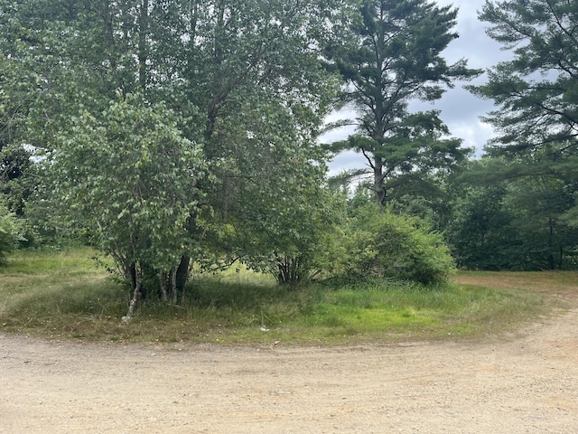 83 River Rd, Hiram, ME 04041 - view of local wilderness