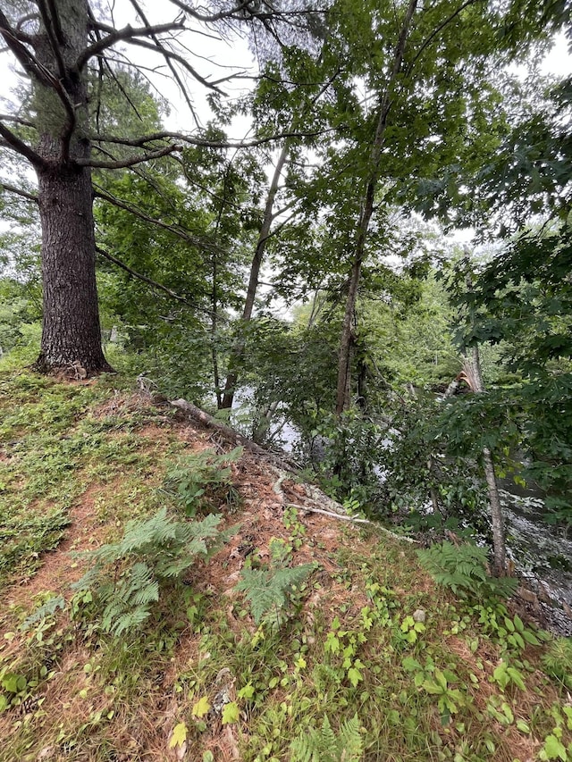 83 River Rd, Hiram, ME 04041 - view of woods