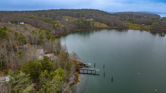 26 Townsend Ln, Boothbay, ME 04537 - bird's eye view featuring a water view and a wooded view