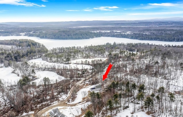 snowy aerial view with a forest view and a mountain view