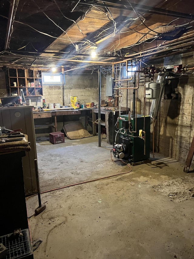 basement with electric panel