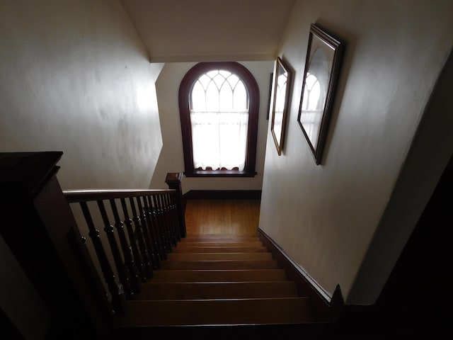 staircase with wood-type flooring