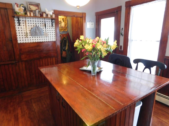 dining room with dark hardwood / wood-style floors and a baseboard heating unit