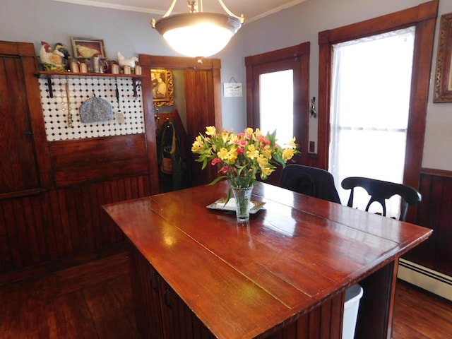 dining room featuring a baseboard radiator, dark hardwood / wood-style floors, and crown molding