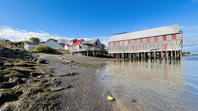 dock area with a water view