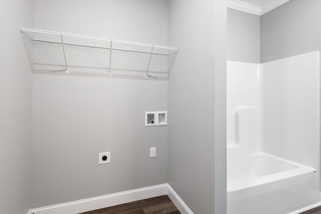 washroom featuring hookup for a washing machine, electric dryer hookup, and dark hardwood / wood-style floors