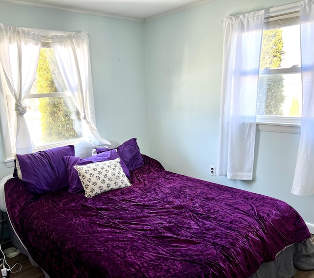 bedroom featuring multiple windows