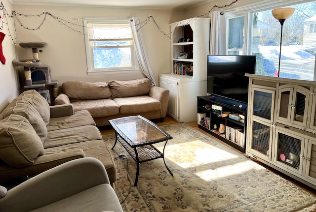 living room featuring light hardwood / wood-style floors