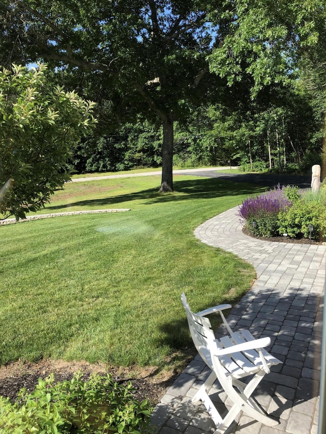 view of property's community with a yard