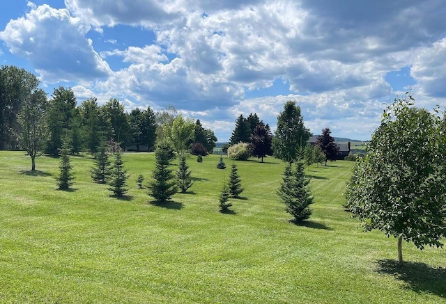 28 Grendell Rd, Mapleton, ME 04757 - view of nature