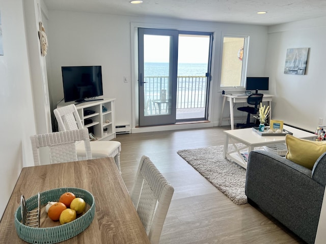 living room with hardwood / wood-style flooring and a baseboard radiator