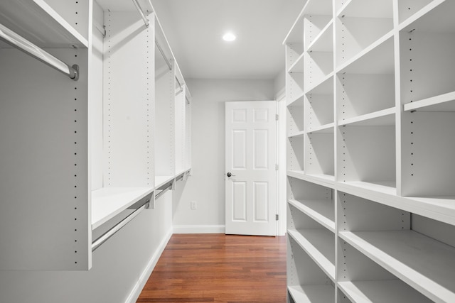 spacious closet featuring dark wood finished floors