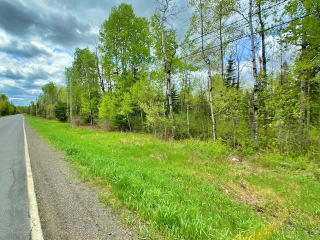 257 Washburn Rd, Presque Isle, ME 04769 - photo 5