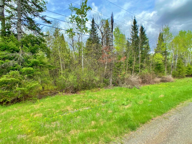 257 Washburn Rd, Presque Isle, ME 04769 - photo 2