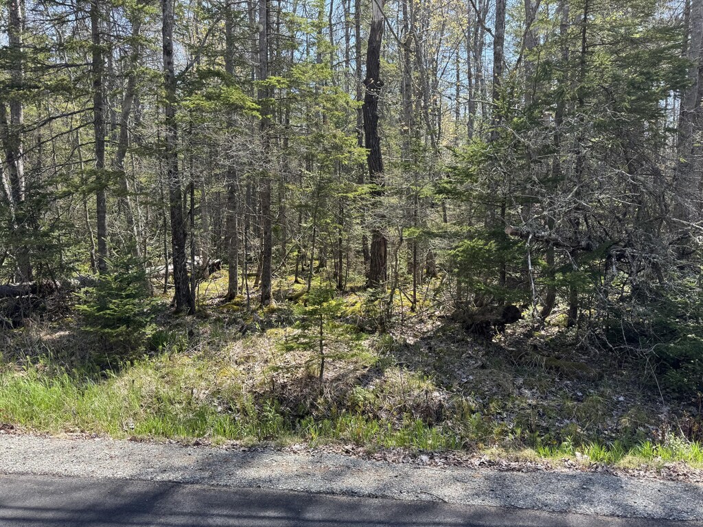 00 Bay View Dr, Bar Harbor, ME 04609