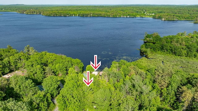 2AND3 Blue Heron Ln, Winslow, ME 04901 - drone / aerial view of a forest and a nearby body of water