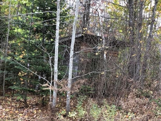 view of local wilderness with a forest view