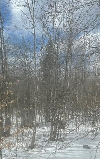 view of snow covered land