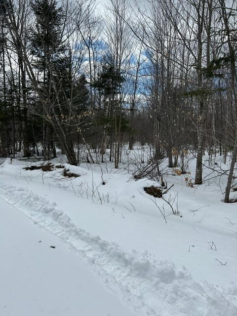 view of snowy yard