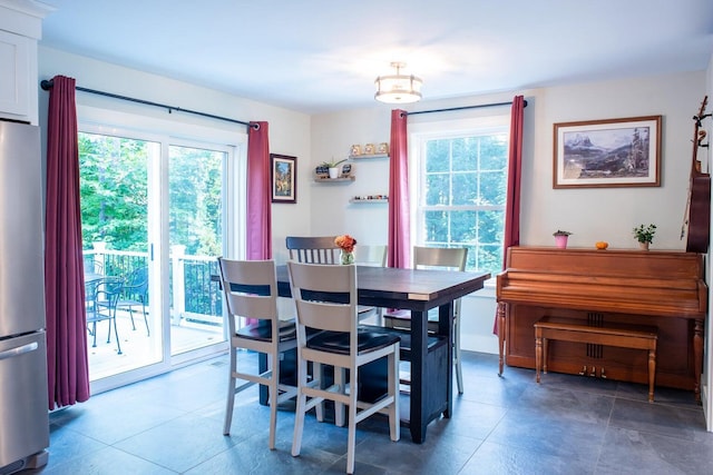 dining room with a wealth of natural light