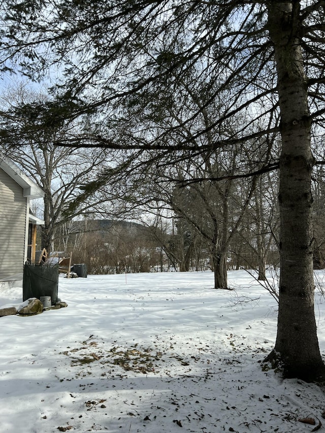 view of yard covered in snow