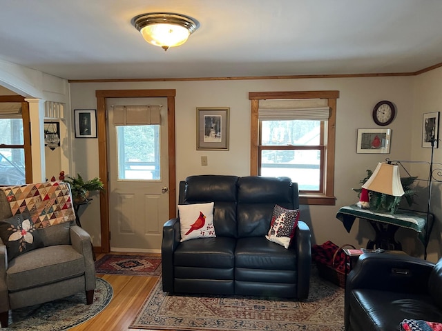 living area with plenty of natural light, crown molding, decorative columns, and wood finished floors