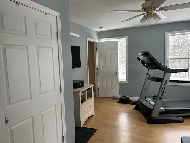 workout area featuring ceiling fan and light hardwood / wood-style flooring