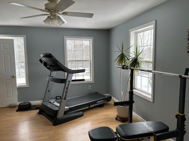 exercise area with hardwood / wood-style floors and a wealth of natural light