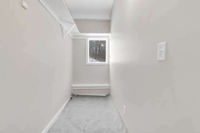 walk in closet featuring light carpet