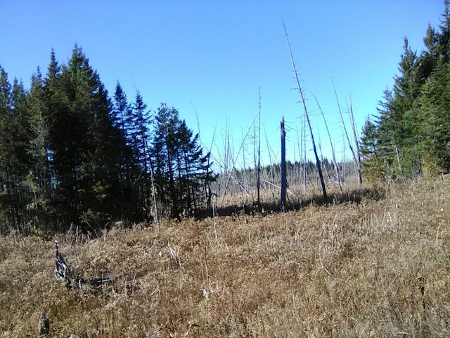 913 Skedgell Rd, Cary Plt, ME 04471 - photo 9