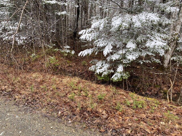 913 Skedgell Rd, Cary Plt, ME 04471 - photo 14