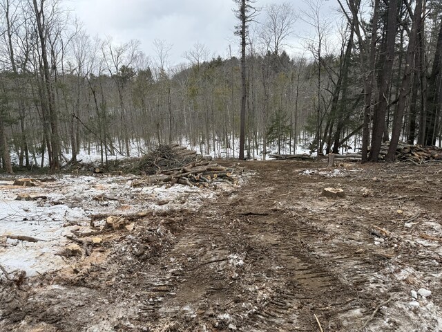 287 Goodwin Rd, Eliot, ME 03903 - view of tree filled area