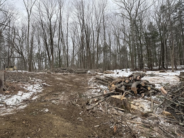 287 Goodwin Rd, Eliot, ME 03903 - view of nature