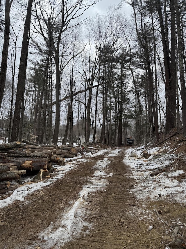 287 Goodwin Rd, Eliot, ME 03903 - view of dirt / gravel road