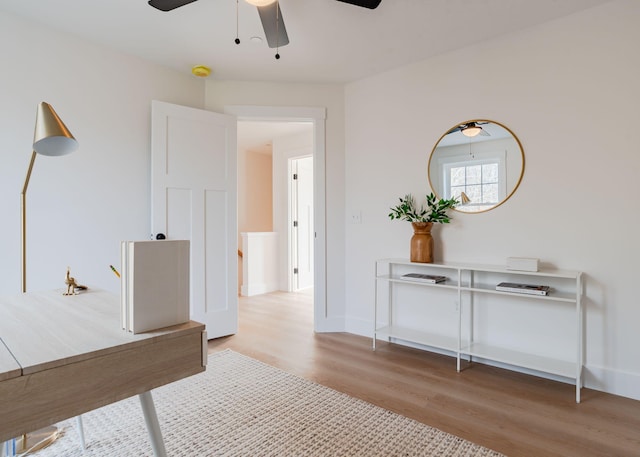 office space featuring ceiling fan and light hardwood / wood-style floors