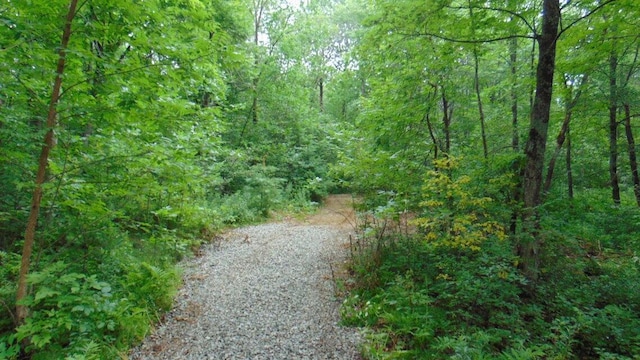 Listing photo 2 for LOT11 Easy St, Lincoln ME 04457