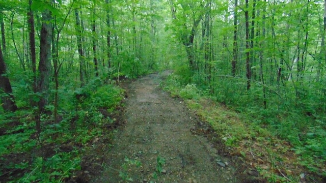 Listing photo 3 for LOT11 Easy St, Lincoln ME 04457