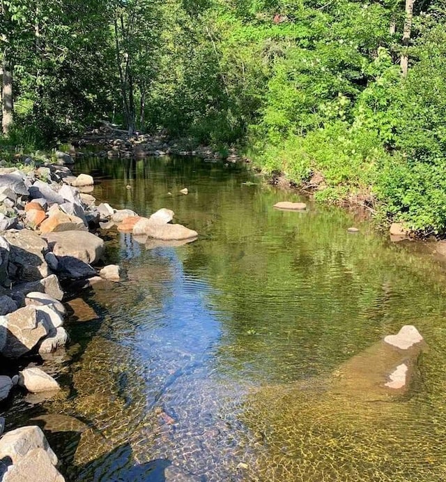 water view with a forest view