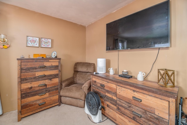 sitting room with light colored carpet