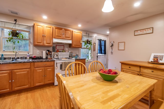 kitchen featuring electric stove, sink, light hardwood / wood-style flooring, and a wealth of natural light