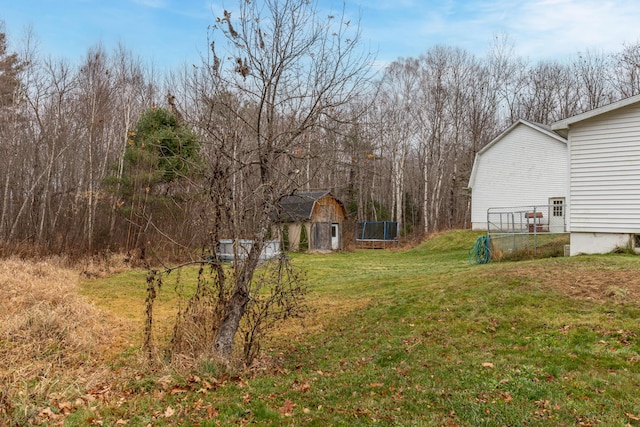 view of yard featuring a storage unit