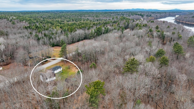 birds eye view of property featuring a water and mountain view