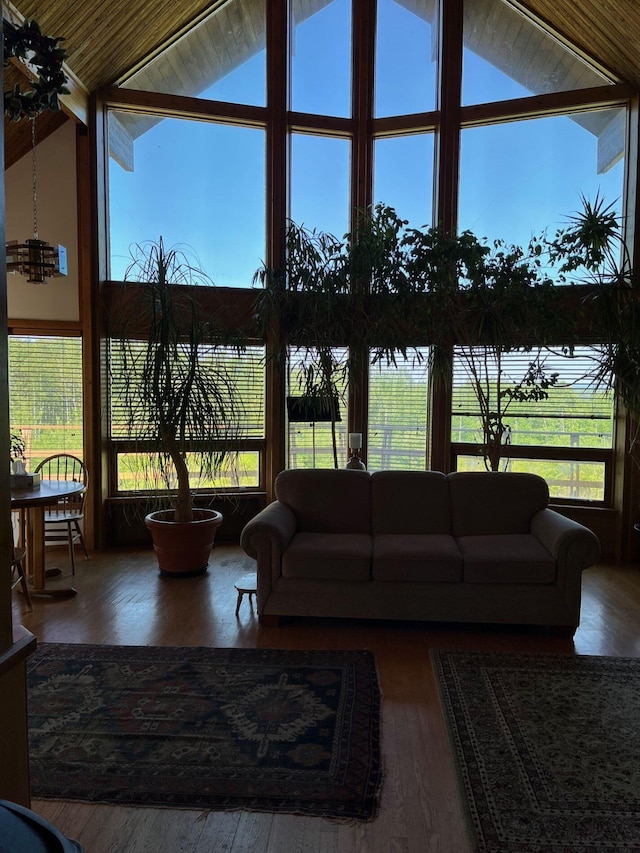 living room with high vaulted ceiling and dark hardwood / wood-style floors